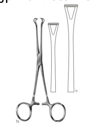 バブコックの組織鉗子/手術器具/パキスタン手術器具問屋・仕入れ・卸・卸売り