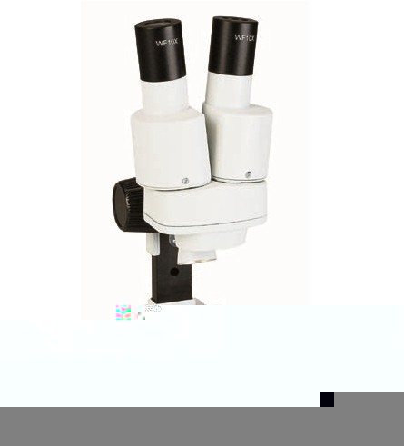 小型実体顕微鏡(STX Mini)問屋・仕入れ・卸・卸売り
