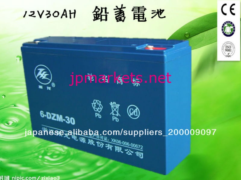 12V30AH 鉛蓄電池問屋・仕入れ・卸・卸売り