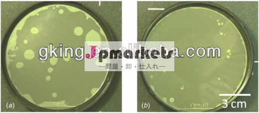 ITOガラス高周波回路用の100 ×100mmの1.9ミリメートルガラスウェーハ(マイクロ波回路)問屋・仕入れ・卸・卸売り