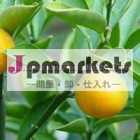 100％天然98％ナリンゲニンエキス問屋・仕入れ・卸・卸売り