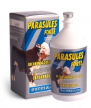 parasulesフォルテ問屋・仕入れ・卸・卸売り