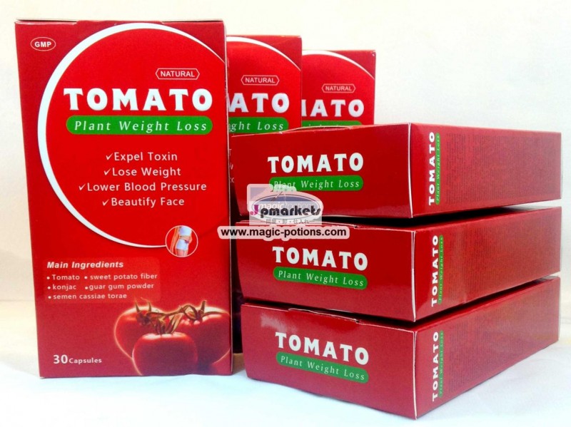 トマトの木の減量カプセル6箱問屋・仕入れ・卸・卸売り