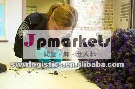 通関手続きおよび商品の点検問屋・仕入れ・卸・卸売り