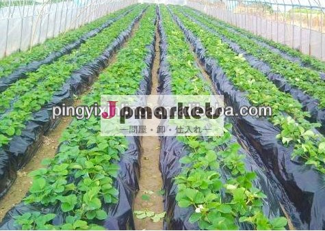 菜園用マルチ 地熱温度を高め,早期収穫・収量アップ問屋・仕入れ・卸・卸売り