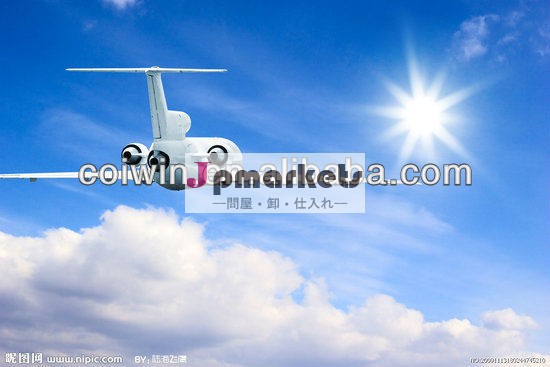安価で高速な中国からの航空貨物サービスへのフィンランド-- フランシス問屋・仕入れ・卸・卸売り