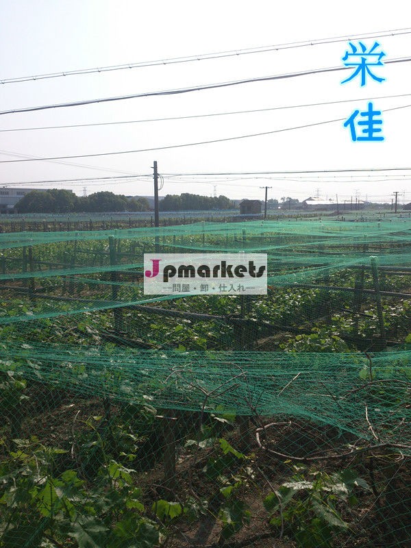 鳥よけネット問屋・仕入れ・卸・卸売り