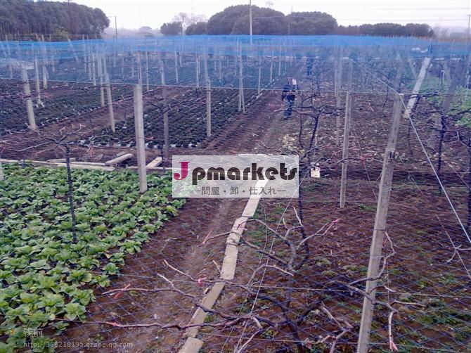 プラスチック製の抗- 鳥ネッティング白緑黒( 工場)問屋・仕入れ・卸・卸売り