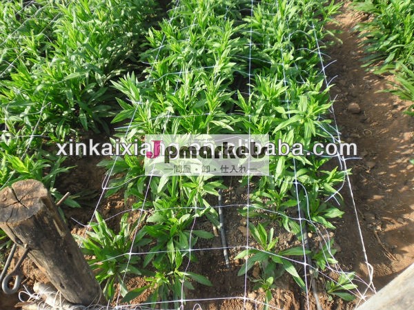 最高のネッティングhdpepp植物のサポート価格( 工場)問屋・仕入れ・卸・卸売り