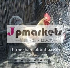 の鶏のプラスチックフェンシング( pp、 pe、 工場)問屋・仕入れ・卸・卸売り