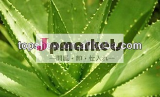 ネイチャーリパブリックの公平性ゲルアロエベラ300ミリリットル問屋・仕入れ・卸・卸売り