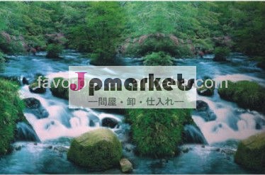 自然環境背景魚のための新しいデザイン問屋・仕入れ・卸・卸売り