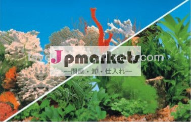 両サイドの背景デザイン美新しい魚のための問屋・仕入れ・卸・卸売り