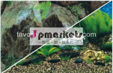 両サイドの背景デザイン美新しい魚のための問屋・仕入れ・卸・卸売り