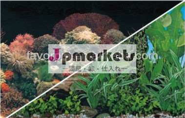 両サイドの背景デザイン美新しい魚のための問屋・仕入れ・卸・卸売り