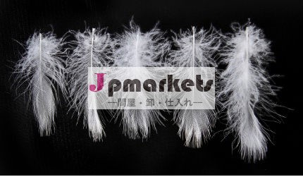 2-4cmの白のアヒルの羽。問屋・仕入れ・卸・卸売り