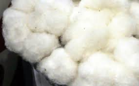 綿花の輸入業者は問屋・仕入れ・卸・卸売り
