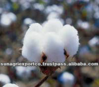 輸出質の綿はShankar 6を梱包する問屋・仕入れ・卸・卸売り