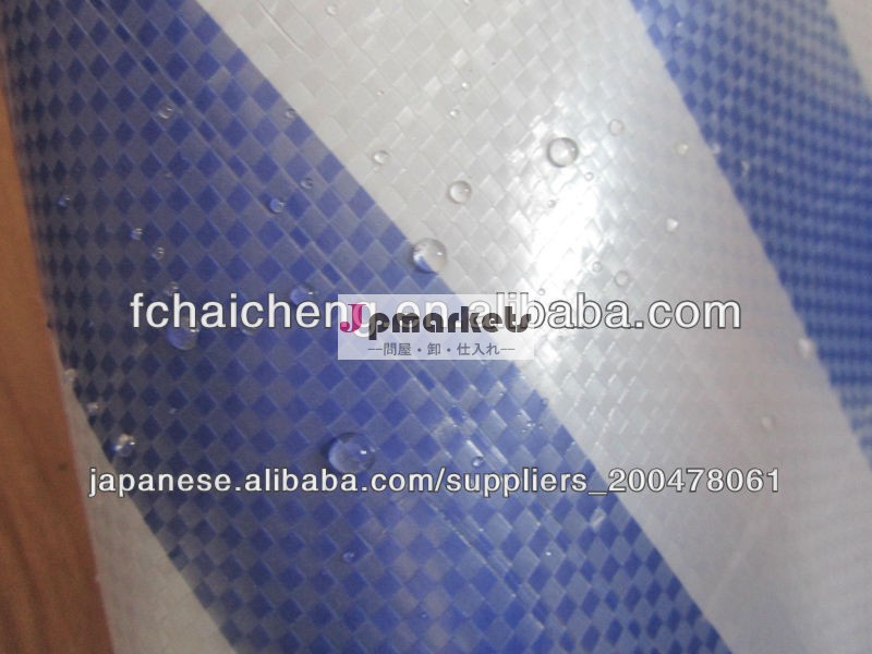 車体カバー,防塵保護,第一級グレードの高品質のPEの防水シート問屋・仕入れ・卸・卸売り