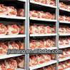 -5 ' C~ -40 ' C肉送風フリーザー問屋・仕入れ・卸・卸売り