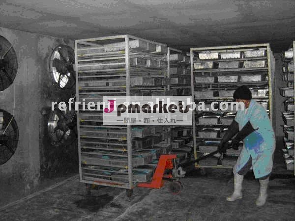 送風フリーザー(衝撃のフリーザー、フリーザー、quickfreezer)問屋・仕入れ・卸・卸売り