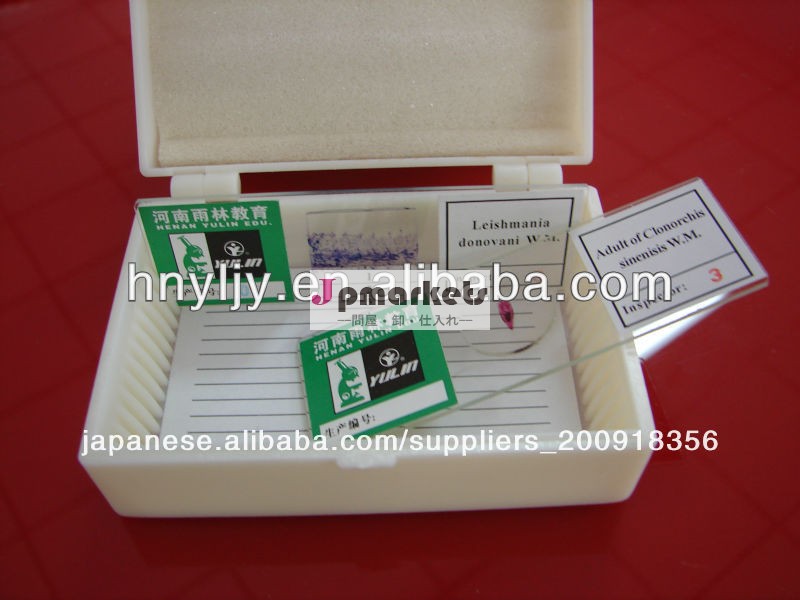 教育プラスチック/準備されたスライドのための木箱問屋・仕入れ・卸・卸売り