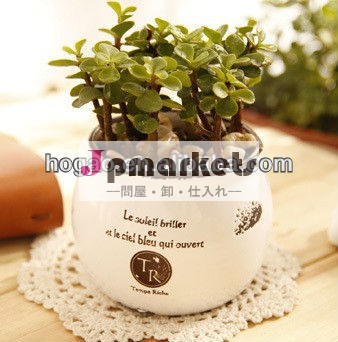 家の装飾のための陶磁器のつぼの植木鉢問屋・仕入れ・卸・卸売り