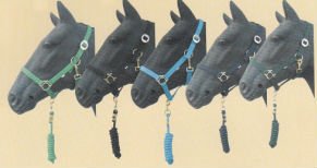 リード線を使って標準の馬のホールター問屋・仕入れ・卸・卸売り