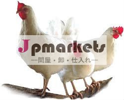 vitcプロバイオティクス家禽用動物foddersハーブ問屋・仕入れ・卸・卸売り