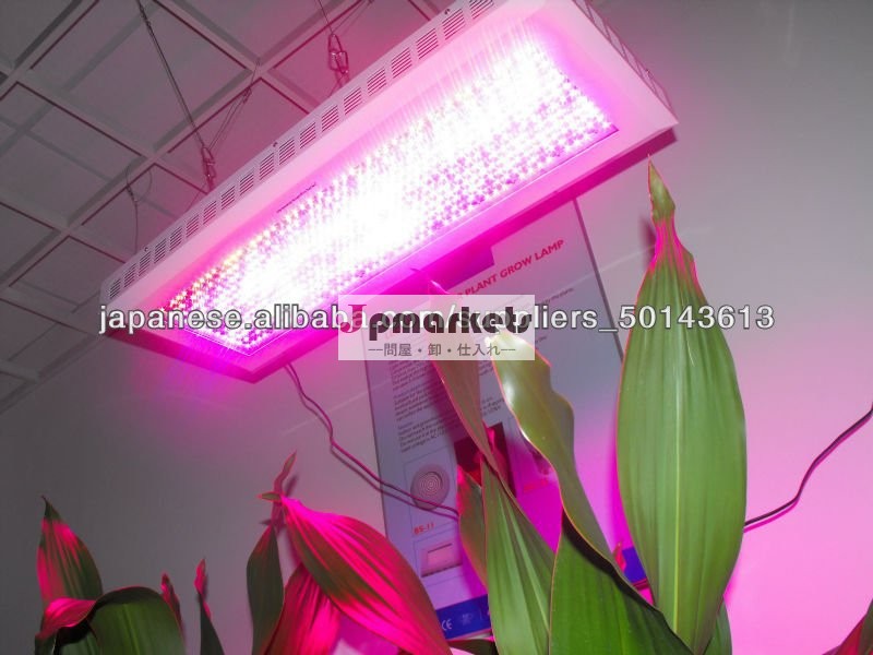 LED 300W 植物育成ライト問屋・仕入れ・卸・卸売り