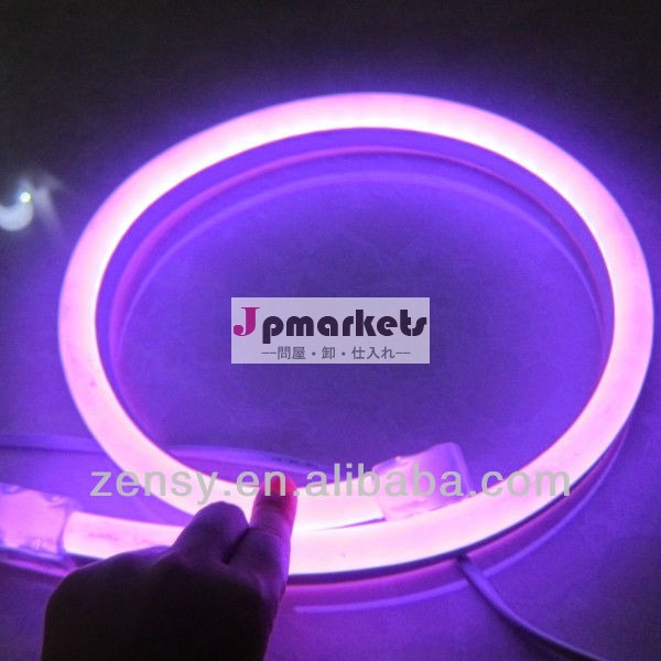 定格ip65ledネオンライト、 高品質、 長寿命問屋・仕入れ・卸・卸売り