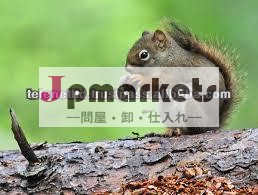 超音波害虫駆除器問屋・仕入れ・卸・卸売り