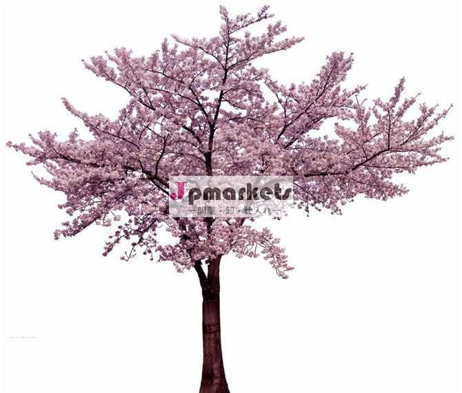 ヒット商品2014年偽桜の/高品質人工的な桜の木の中国で/シミュレーション桜の木問屋・仕入れ・卸・卸売り