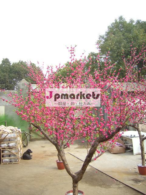 新製品2014年人工的な桃の花装飾用の木/top品質高模倣桃の花のツリー屋外・屋内sj問屋・仕入れ・卸・卸売り