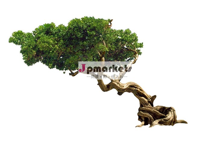 新しいスタイル人工的なガジュマルの木sj-2014/卸売のための古代の人工的なガジュマルの木の風景問屋・仕入れ・卸・卸売り