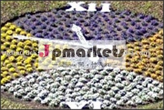 フローラルクロック問屋・仕入れ・卸・卸売り