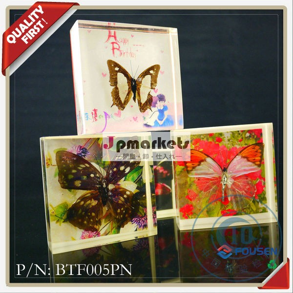 美しい蝶fousen2013製品は蝶を乾燥させた問屋・仕入れ・卸・卸売り