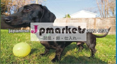 犬 首輪 通販問屋・仕入れ・卸・卸売り