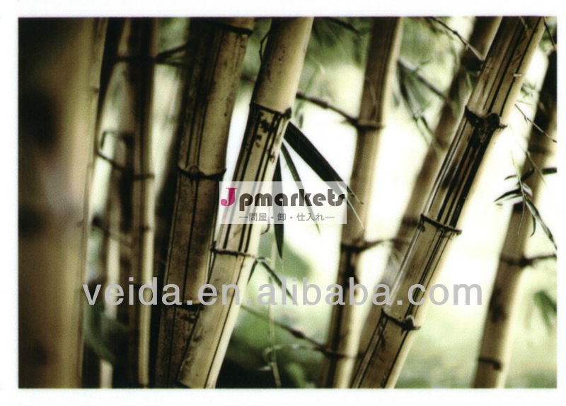 Pvc床材写真veida/スポンジpvc床材/3dフローリング問屋・仕入れ・卸・卸売り
