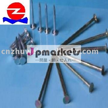 ZW Danicaの強打から頭部は釘に電流を通した問屋・仕入れ・卸・卸売り
