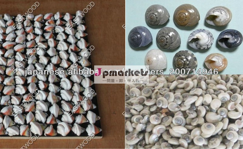 貝の製品 貝のタイル,貝のデコレーション,壁用タイル問屋・仕入れ・卸・卸売り