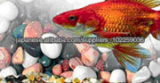Aquarium Pebbles問屋・仕入れ・卸・卸売り