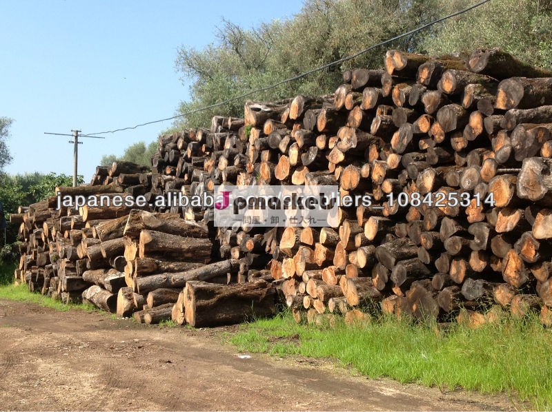 Olive wood logs問屋・仕入れ・卸・卸売り