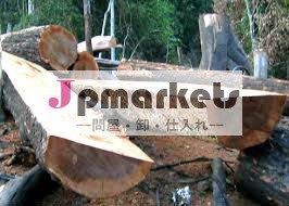 木材のログのサプライヤー問屋・仕入れ・卸・卸売り