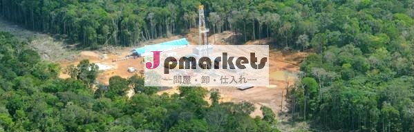 実績のある投資100mm/bblオイル埋蔵量問屋・仕入れ・卸・卸売り