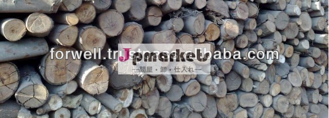 レモンの木木炭( スティック・しこり)問屋・仕入れ・卸・卸売り