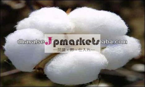 インドの綿花のグジャラート起源s6- 最高の品質問屋・仕入れ・卸・卸売り