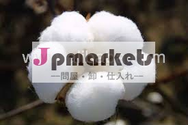 インドの綿花問屋・仕入れ・卸・卸売り