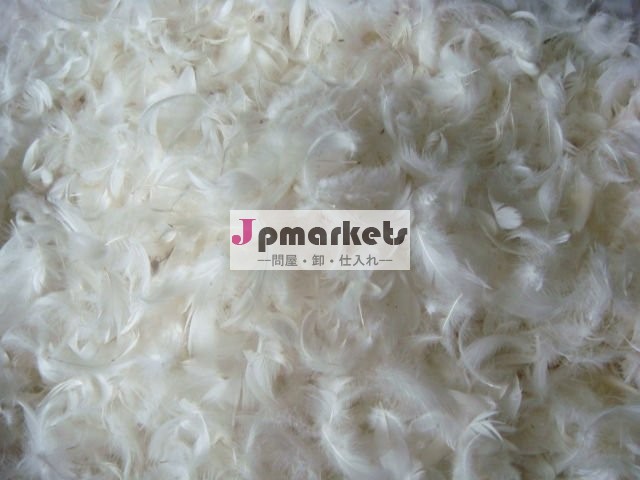 White Washed Duck Feathers FOR SALE問屋・仕入れ・卸・卸売り