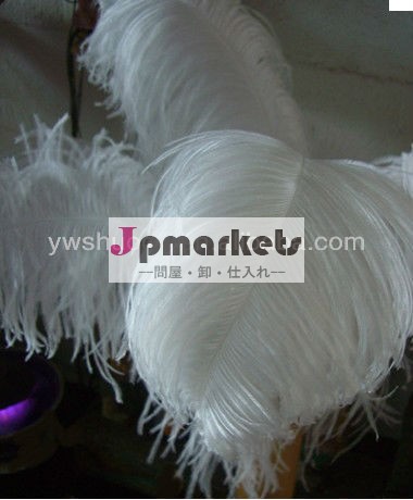 卸売100pcs/lot24- 28inch( 60- 70cm) 白いダチョウの羽プルームまたは衣装のために結婚式のセンターピース問屋・仕入れ・卸・卸売り